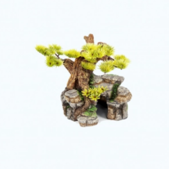 AD Bonsai 24x16.5x18.5