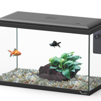 Aquatlantis Lisbon 40 Black 22lt