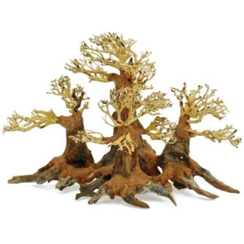Aquadeco Forest Bonsai S 30x26x20