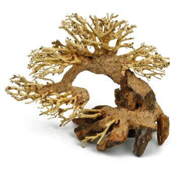 Aquadeco Aqua Bonsai M 23X30