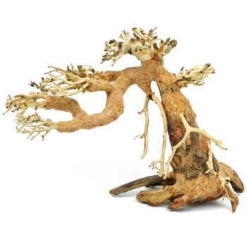 Aquadeco Aqua Bonsai S 15x20