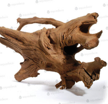 Aquadeco Mangrove S 20cm // per piece