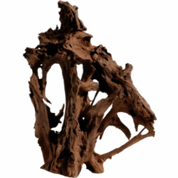 Aquadeco Mangrove XL 70-80cm // per piece