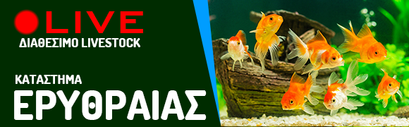 Ενυδρεία – Εξοπλισμός Ενυδρείων