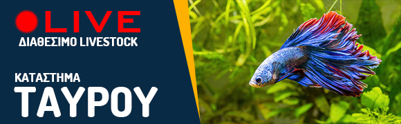 Ενυδρεία – Εξοπλισμός Ενυδρείων