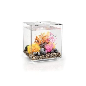 Oase Biorb Cube 30 Led Clear