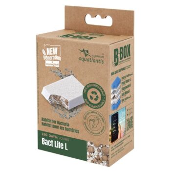 Aquatlantis replacement sponge Bact Life L