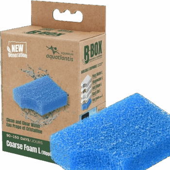 Aquatlantis replacement sponce Coarse Foam L