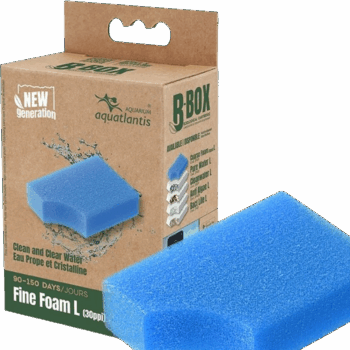 Aquatlantis replacement sponge Fine Foam L