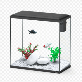 Aquatlantis Explorer Dublin 40 black 40x20x41