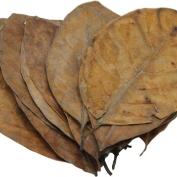 Ceramic Nature Catappa Jack leaves 20 pcs