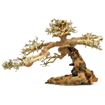 Aquadeco Claw Bonsai XS 25x18