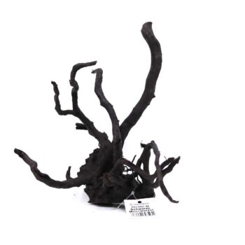 Aquadeco Black Moor Wood M 25-30cm // per piece