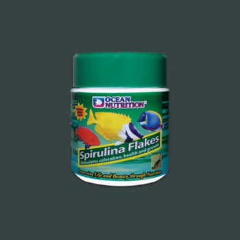 Eheim Coarse filter pad (blue) for classic 600 2616171