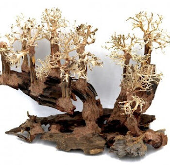 Aquadeco Layout Flying Bridge S 40cm x 30cm