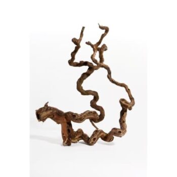 Aquadeco Wine wood M 40-70cm // per piece