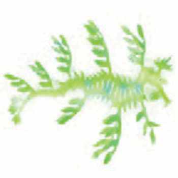 AD Glowing Sea Dragon Green
