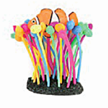 AD Glowing Clow in Bubble Anemone