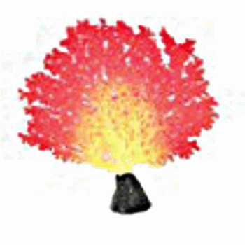 AD Glowing coral type3 yellow