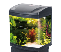 Cebo Fish Tank Black 31*19.5*32 B231B