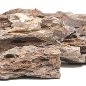 Oasis Bamboo Rock per piece