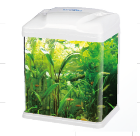 Cebo Fish Tank White 30.5*21*34 C300w