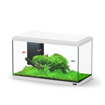 Aquatlantis Paris with BioBox White