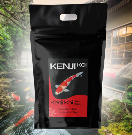 Ενυδρεία – Εξοπλισμός Ενυδρείων