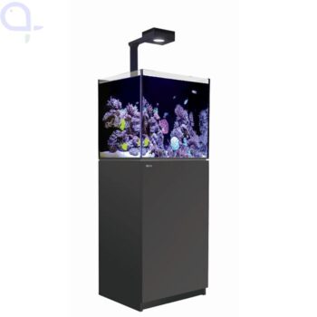 Red Sea Reefer 200 G3 Deluxe - Black (incl. 1 X RL115 & arm)