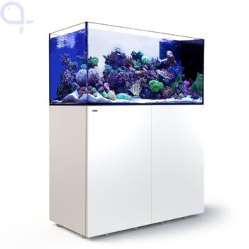 Red Sea Reefer Peninsula G3 500 System - White
